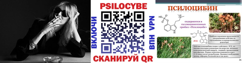 закладки  Мамоново  Галлюциногенные грибы MAGIC MUSHROOMS 