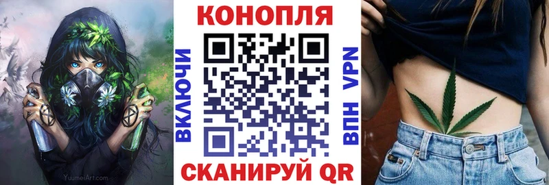 кракен как войти  продажа наркотиков  Мамоново  Конопля сатива 